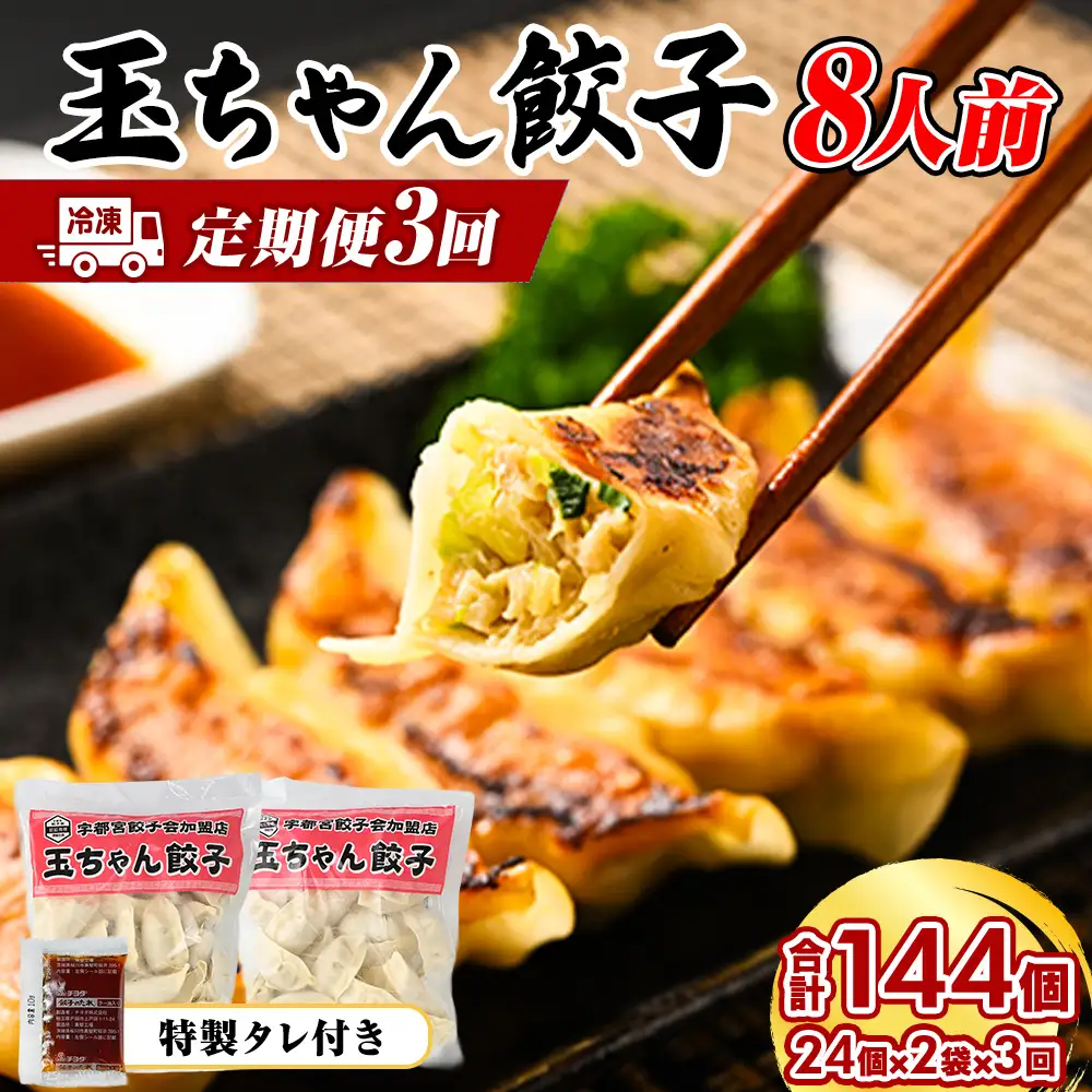 23-5【定期便3回】玉ちゃん餃子8人前（24個×2袋) | 餃子 ぎょうざ ギョウザ ギョーザ おつまみ おかず 惣菜 中華 点心 冷凍 国産 ※着日指定不可
