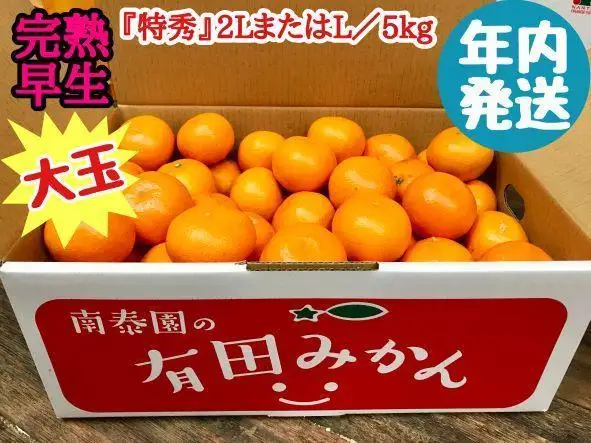 年内発送 完熟早生 有田みかん 大玉 特秀 2L または L サイズ 5kg 和歌山 南泰園 みかん