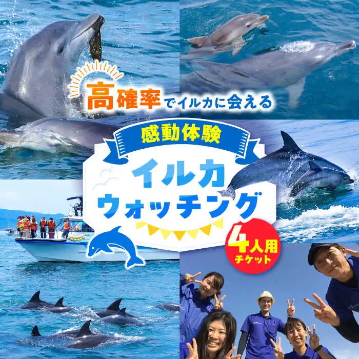 南島原 イルカウォッチング  4人用チケット / チケット ちけっと 体験型 観光チケット いるか イルカ イルカ体験 貸し切り いるか イルカ / 南島原市 / 南島原イルカウォッチング [SAE002]