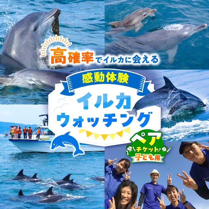 南島原 イルカウォッチング  子ども用 ペアチケット / チケット ちけっと 体験型 観光チケット いるか イルカ イルカ体験 貸し切り いるか イルカ / 南島原市 / 南島原イルカウォッチング [SAE004]