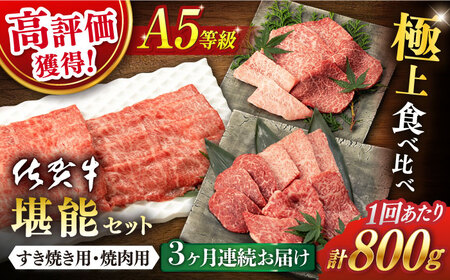 【定期便】 佐賀牛堪能セット 計2.4kg NAB095 佐賀牛 全3回