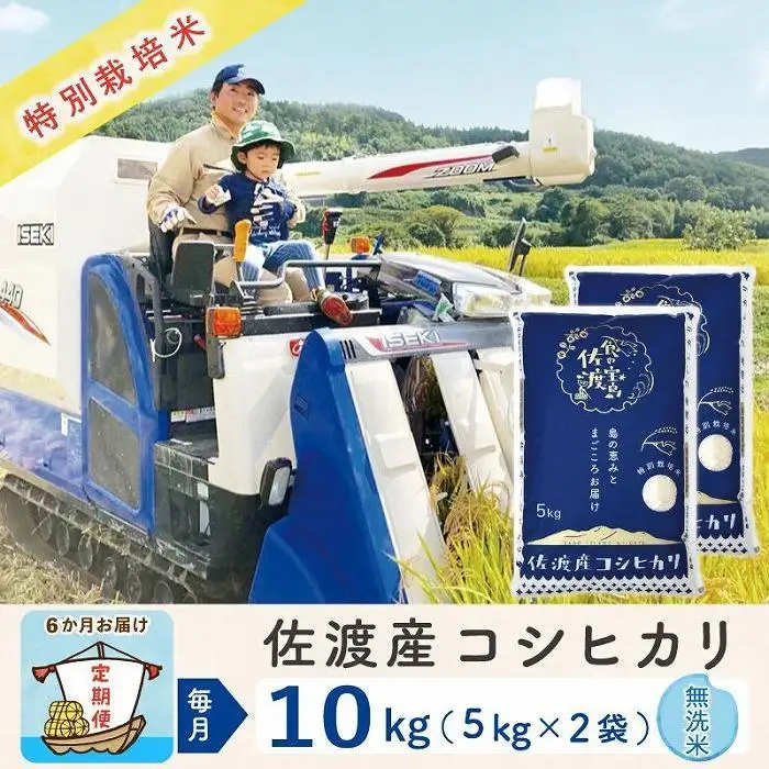 【令和8年産新米 6ヶ月】佐渡島産コシヒカリ 無洗米 10kg 特別栽培米