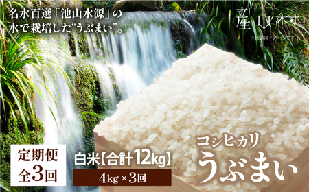 【令和6年産新米　定期便3回】うぶまい(コシヒカリ　白米)4kg〈阿蘇の名水　池山水源米〉