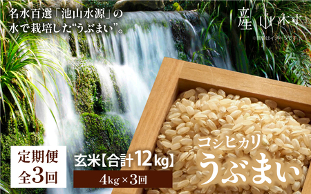 【令和6年産新米　定期便3回】うぶまい(コシヒカリ　玄米)4kg〈阿蘇の名水　池山水源米〉