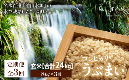 【令和6年産新米　定期便3回】うぶまい(コシヒカリ　玄米)8kg〈阿蘇の名水　池山水源米〉