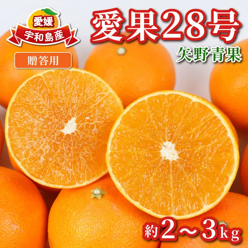 【紅まどんなと同品種】 贈答用 愛果28号 2 ~ 3kg 化粧箱入 矢野青果 先行予約 まどんな B012-171004