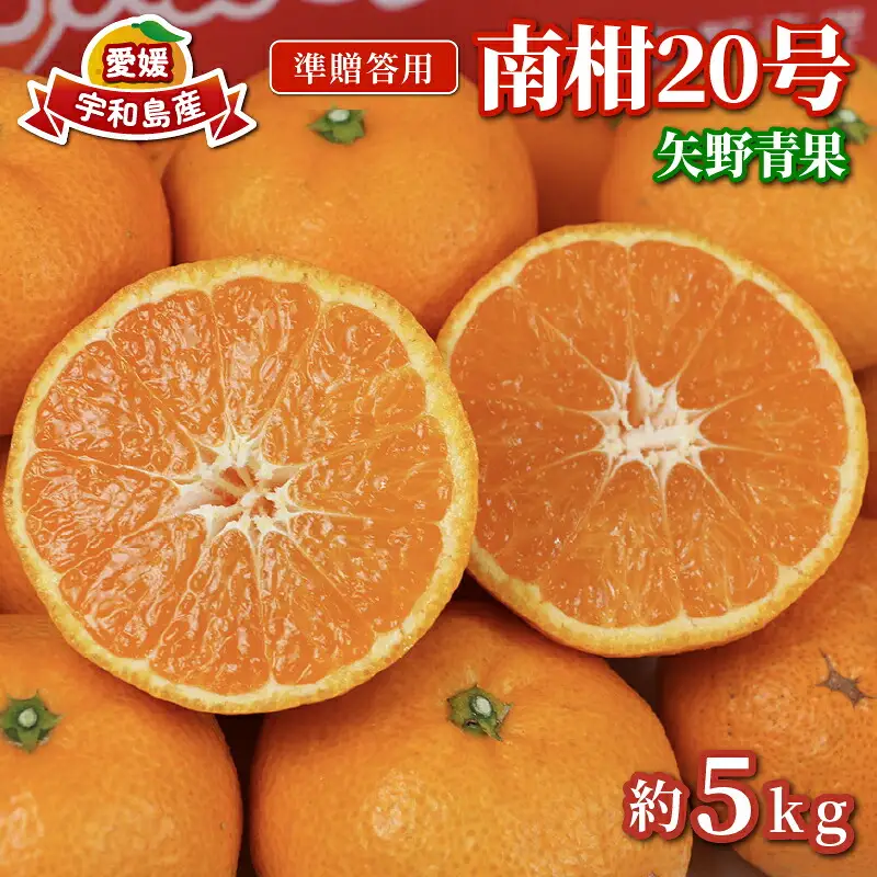 準 贈答用 みかん 南柑20号 5kg 矢野青果 温州みかん 柑橘 温州 うんしゅう 果物 くだもの フルーツ 濃厚 甘い 甘味 蜜柑 準贈答用 贈答品 贈答 ギフト プレゼント 産地直送 農家直送 数量限定 国産 愛媛 宇和島 B012-171005