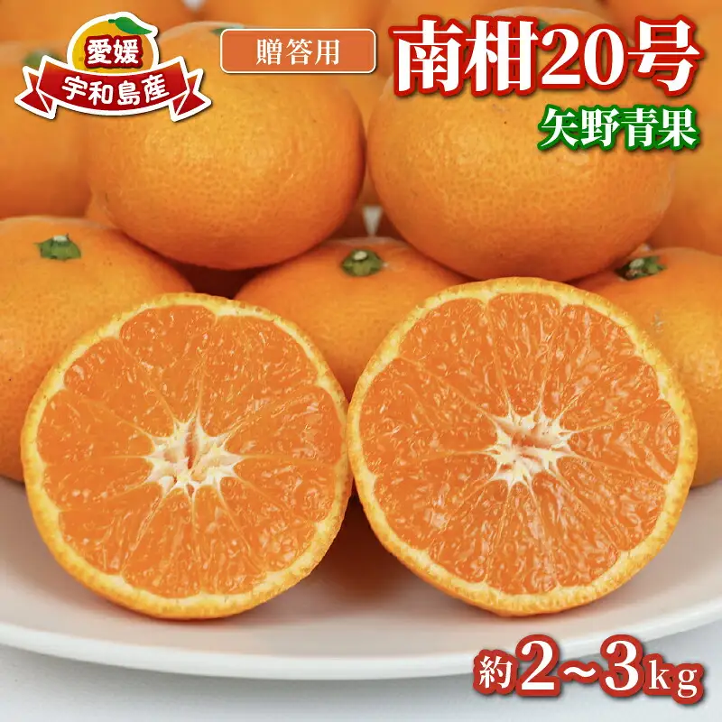 【温州】 南柑20号 2 ~ 3kg 矢野青果 温州 B012-171006