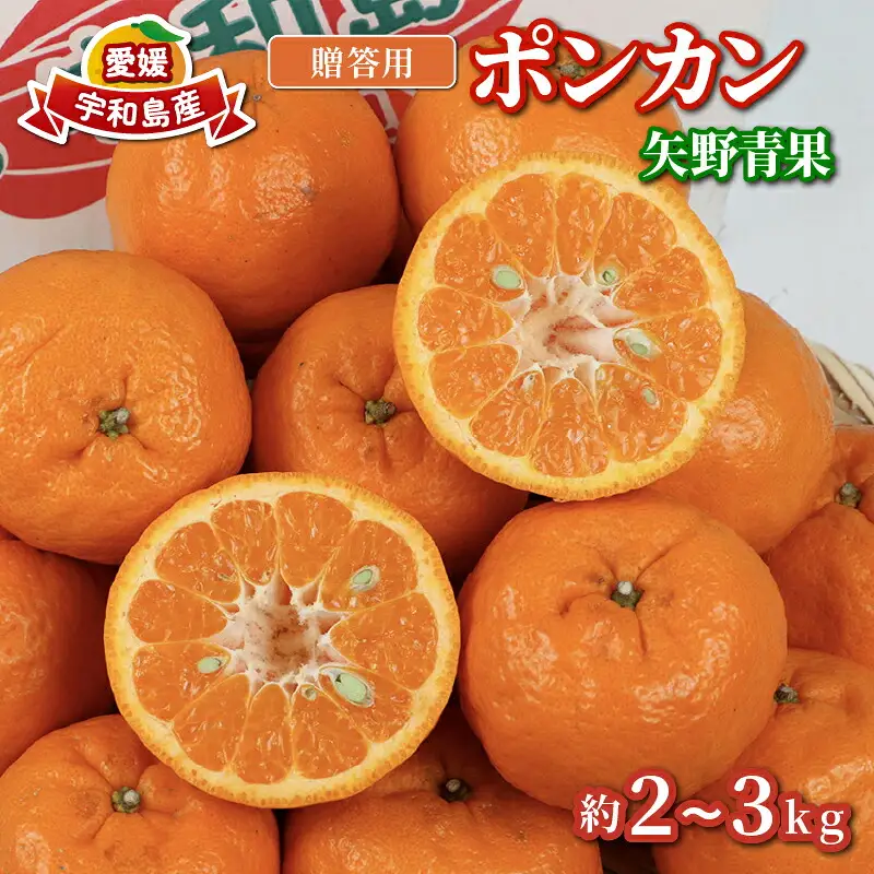 【矢野青果ポンカン】冬の柑橘 ポンカン 2~3kg B012-171008