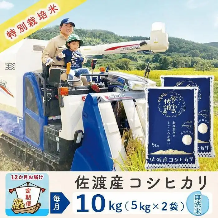 【令和8年産新米 12ヶ月】佐渡島産コシヒカリ 無洗米 10kg 特別栽培米