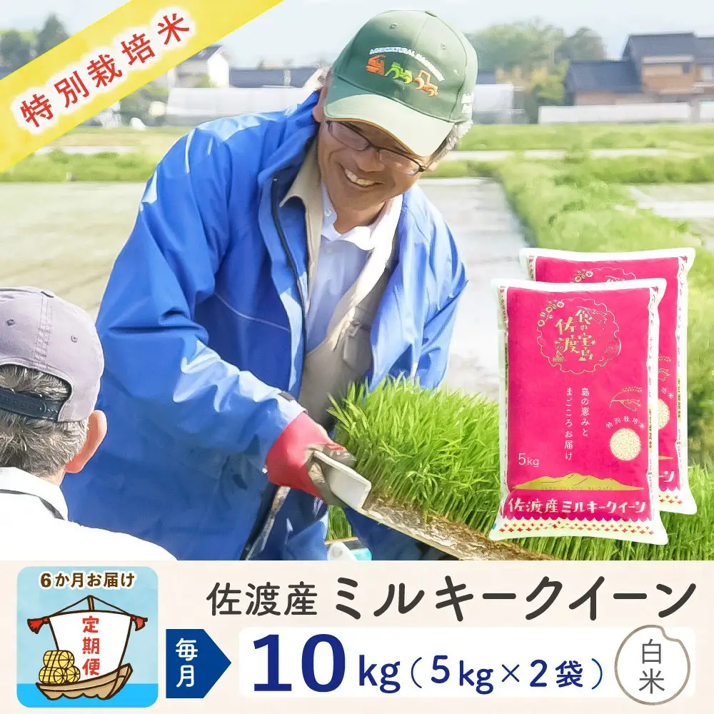 【令和8年産新米 6ヶ月】佐渡島産ミルキークイーン 精米 10kg 特別栽培米