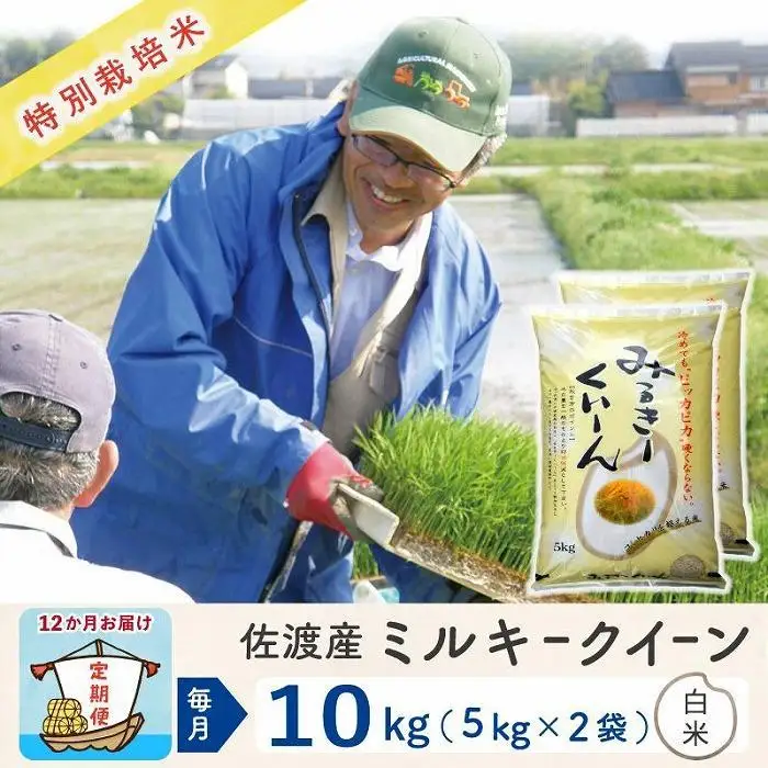 【令和8年産新米 12ヶ月】佐渡島産ミルキークイーン 白米 10kg 特別栽培米