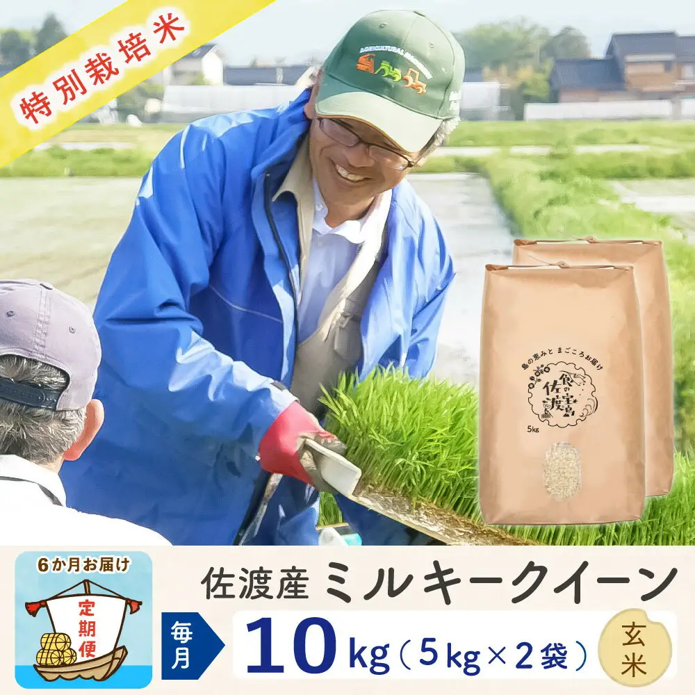 【令和8年産新米 6ヶ月】佐渡島産ミルキークイーン 玄米 10kg 特別栽培米
