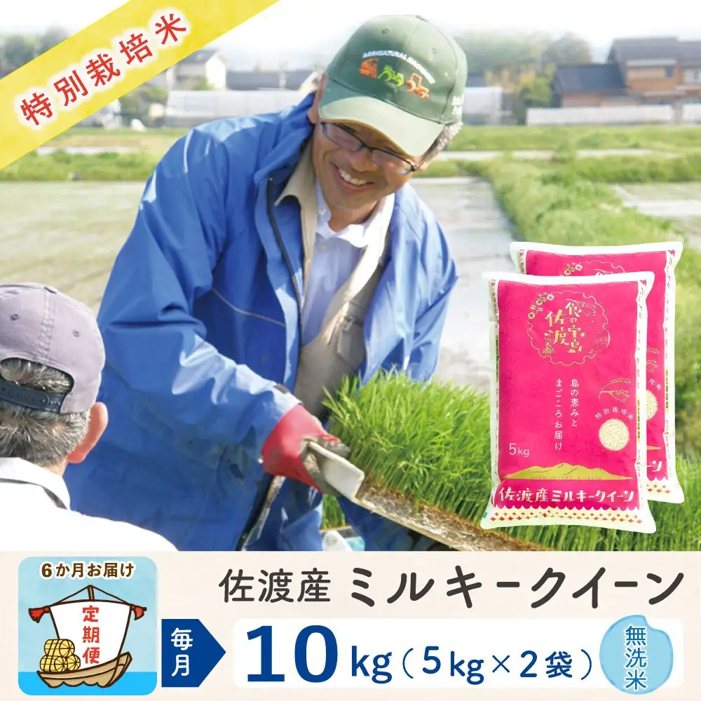 【令和8年産新米 6ヶ月】佐渡島産ミルキークイーン 無洗米 10kg 特別栽培米