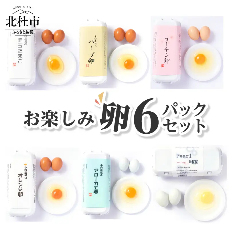 中村農場　お楽しみたまご６パックセット [h024]