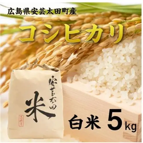 【令和8年産】コシヒカリ　白米5kg【1441113】