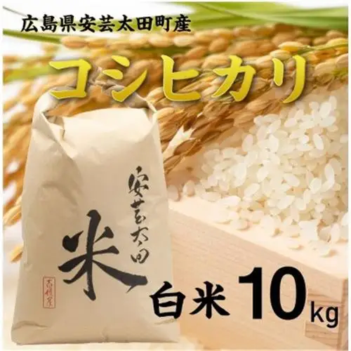 【令和8年産】コシヒカリ　白米10kg【1441136】