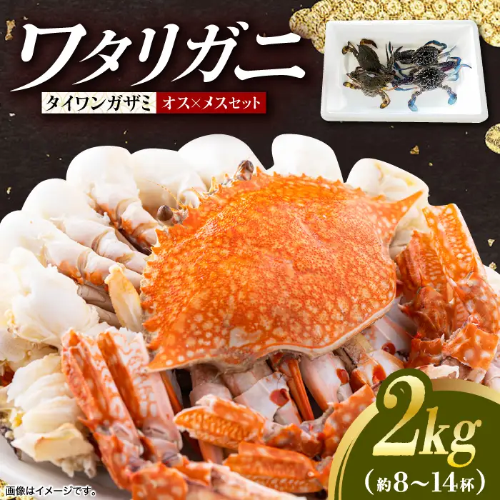 【先行予約】【2026年8月以降順次発送】豊前海産 タイワンガザミ 2kg (8～14杯前後) オス メス セット 《築上町》【明青丸】 ワタリガニ 渡り蟹  [ABCB003] 