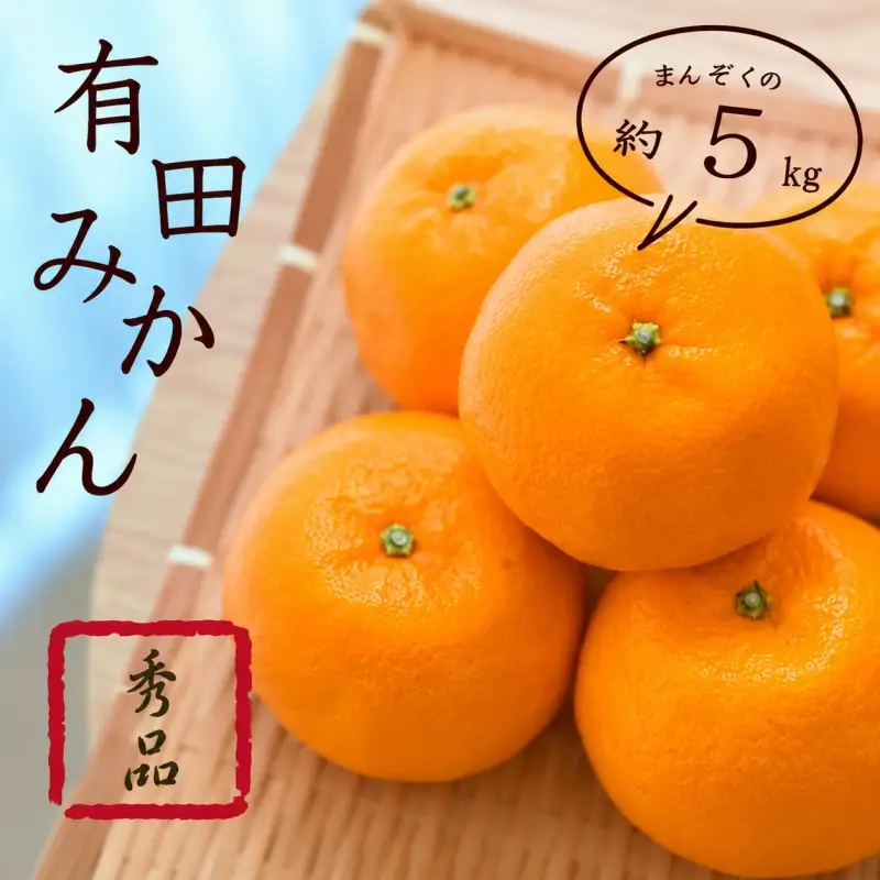 紀州 有田みかん 秀品 5kg サイズおまかせ(Ｌ・М・Ｓ) ※2026年11月下旬～2027年1月中旬頃順次発送予定 ※北海道・沖縄・離島への配送不可【sml004-r-5B】