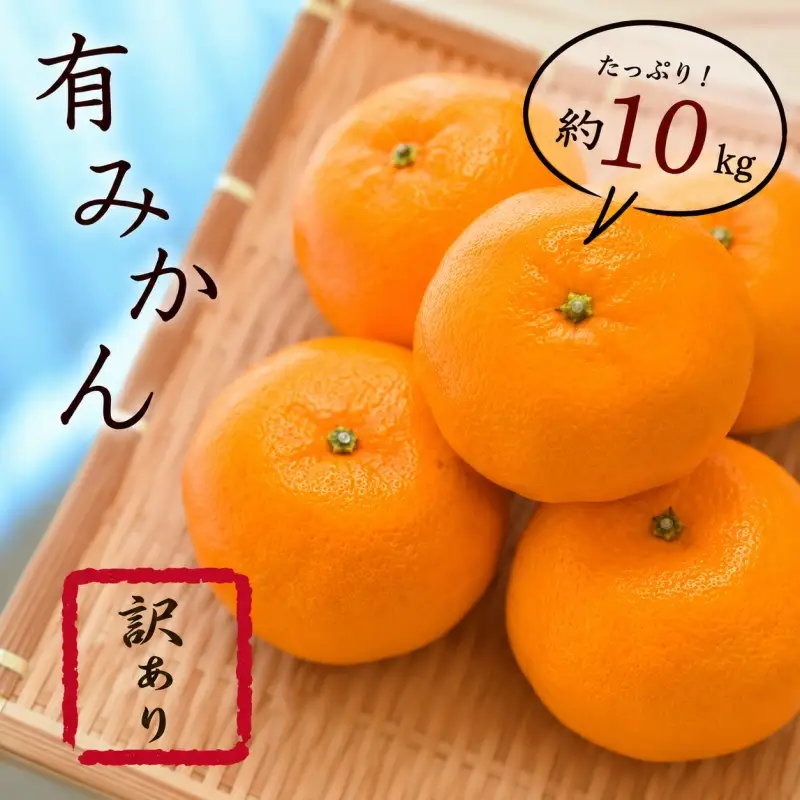 紀州 有田 みかん 10kg 訳あり キズ 家庭用 サイズ混合 ※2026年11月下旬～2027年1月中旬頃順次発送予定 ※北海道・沖縄・離島への配送不可 【sml004-c-10A】