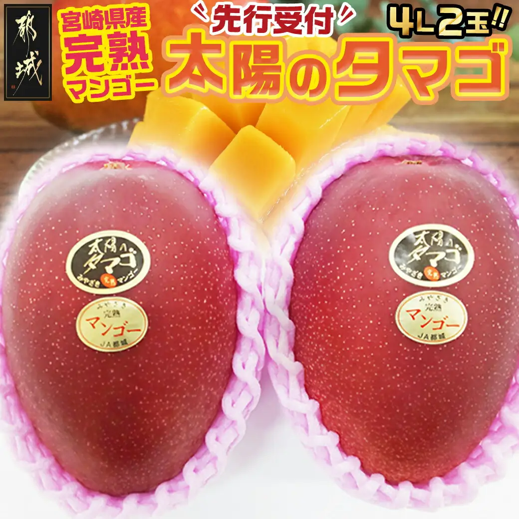 【先行受付!】宮崎県産完熟マンゴー 太陽のタマゴ【4L×2玉】化粧箱入り≪2027年5月中旬以降順次お届け≫〔41-0101〕_(都城市)