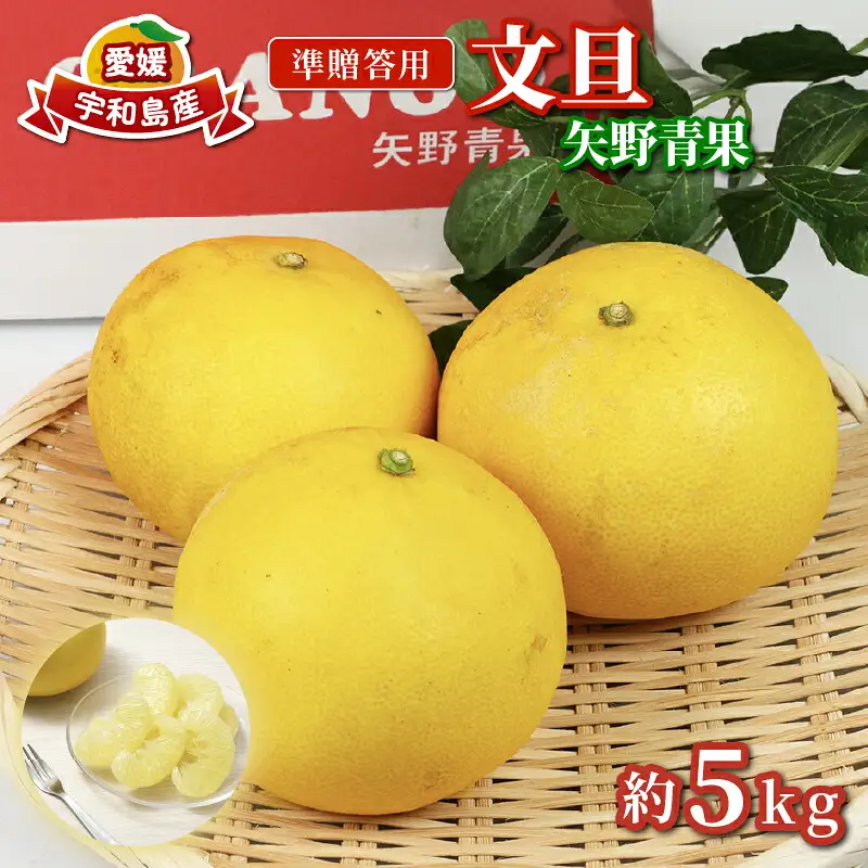 準贈答用 文旦 5kg ！矢野青果 B012-171012