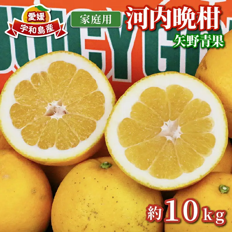 家庭用 河内晩柑 10kg 矢野青果 河内晩柑 B012-171013