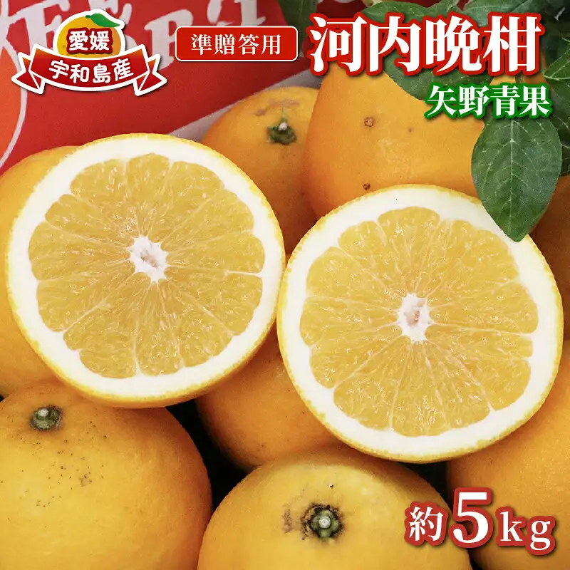 準 贈答用 河内晩柑 5kg 矢野青果 河内晩柑 B012-171014