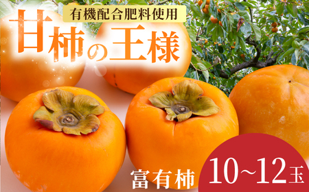 【先行予約】有機配合肥料使用 富有柿 10玉から12玉 2026年11月上旬から11月下旬 出荷予定【春光園】 柿 かき 甘柿 甘い 果物 フルーツ
