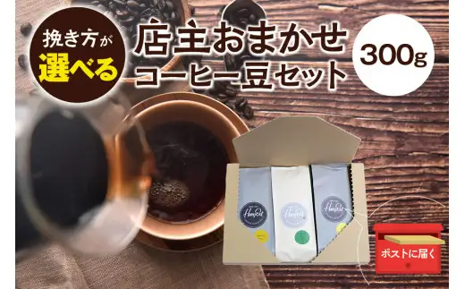 コーヒー 厳選コーヒー豆3種類セット(100g×3種類）【hgo003-d】
