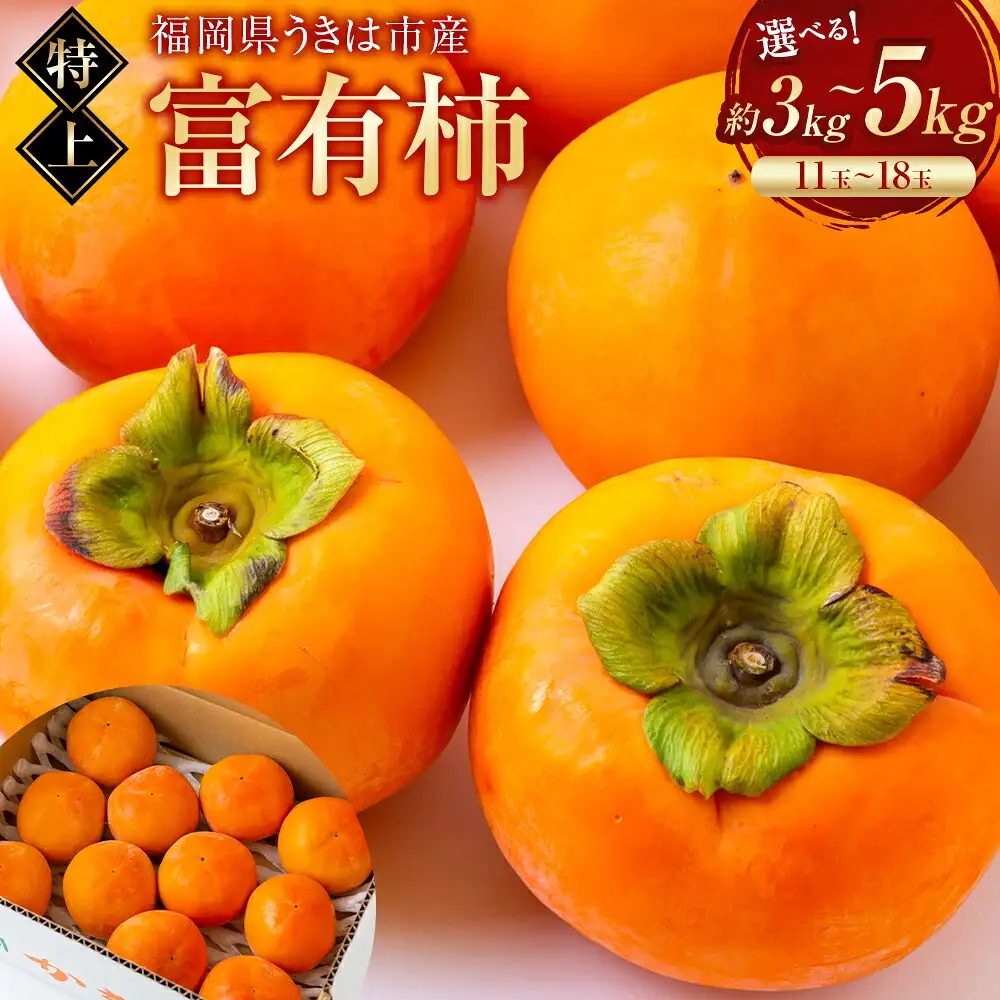 逸品富有柿 16玉から18玉 2Lサイズ (約5kg) 【2026年11月下旬-2026年12月上旬発送予定】 柿 果物 フルーツ うきは市