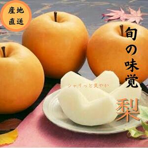 秋の味覚 和梨（幸水・豊水・新高・南水） 6玉入り 化粧箱【BARU バイオジャパン吉村株式会社】[B6-99008]