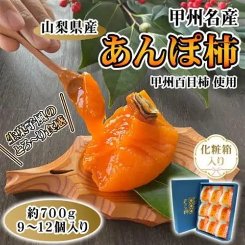 こだわりの製法で作りあげた 甲州名産『あんぽ柿』　約700g【1251103】