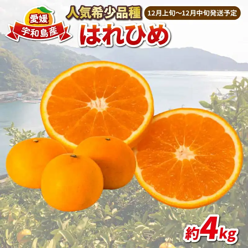 【柑橘】はれひめ4kg家庭用みかん協徳ガーデン愛媛みかん|B012-178001