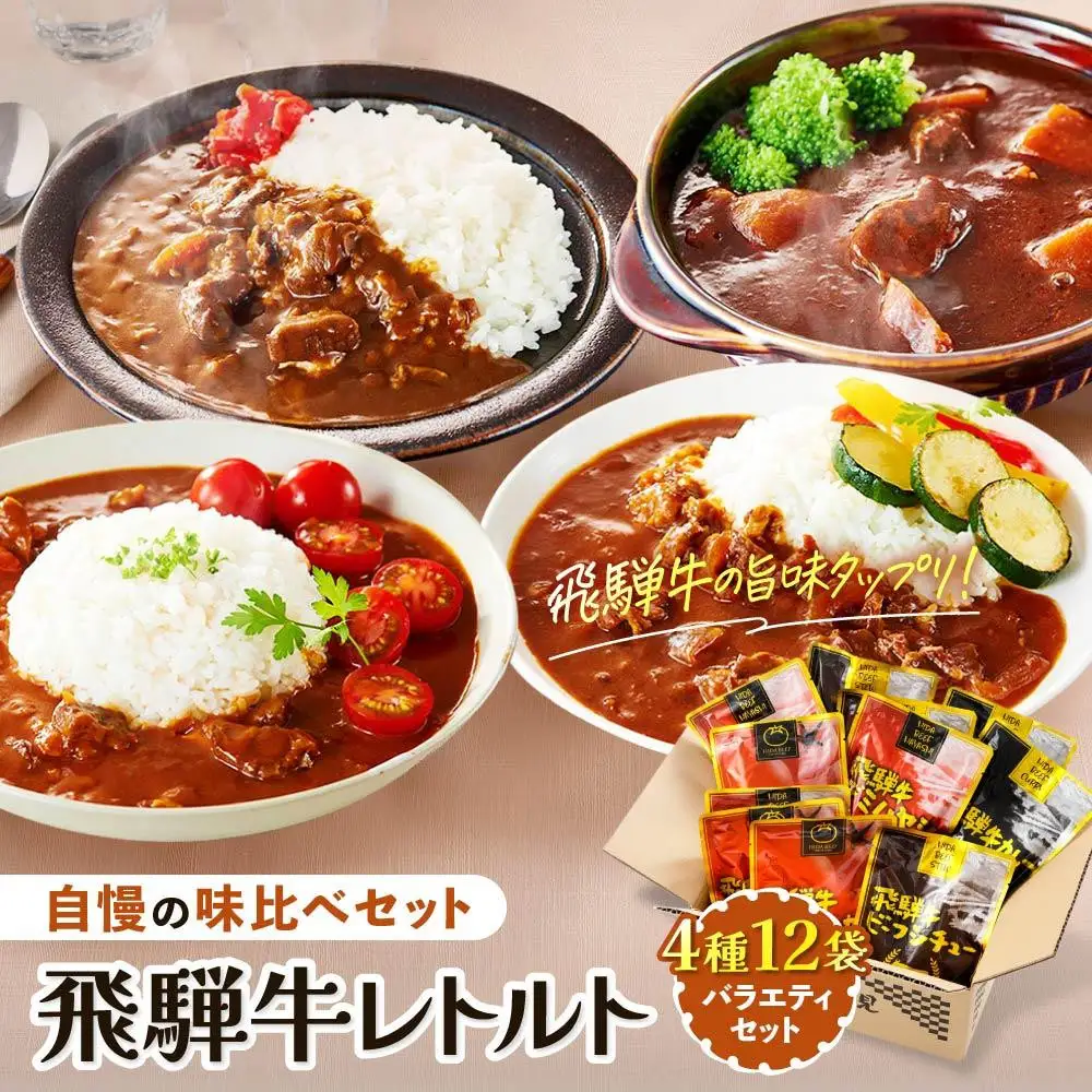 飛騨牛レトルト4種12袋セット カレー | カレー  ビーフシチュー  DC002VC13