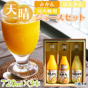 愛媛県明浜産 天晴兄妹みかんジュース（天晴みかん・ぽんかん・河内晩柑） 3種類セット AAN0029