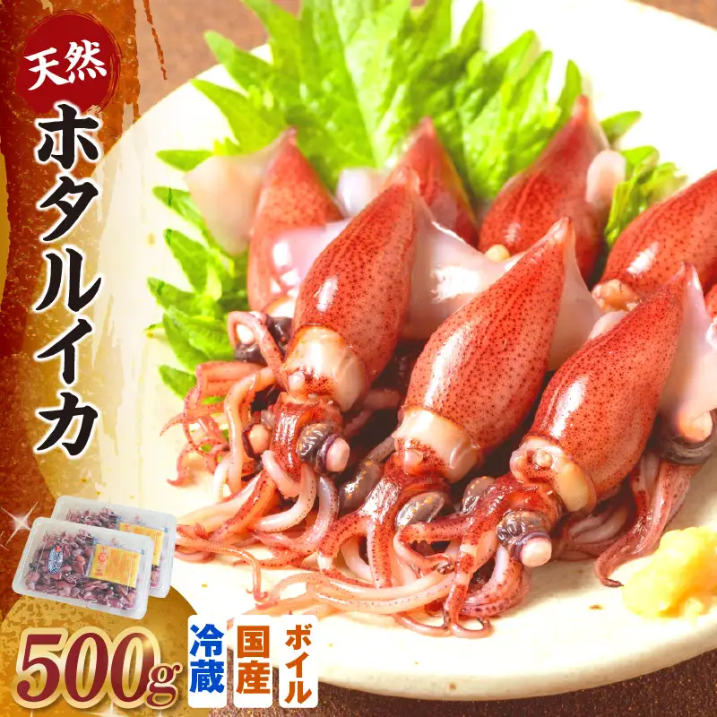 《先行予約》 ボイル ホタルイカ 250g×2パック 500g 酢味噌付 【令和9年3月以降発送予定】 ほたるいか いか イカ 10-13