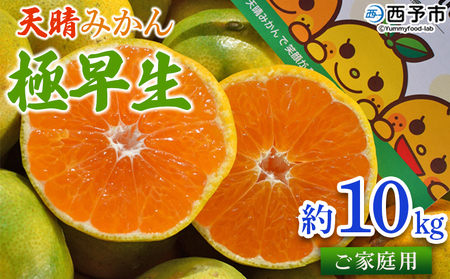 ＜天晴みかん 極早生 家庭用 約10kg＞ 温州 柑橘 果物 くだもの フルーツ ミカン 蜜柑 訳あり ワケアリ 自宅用 期間限定 季節限定 食べて応援 特産品 産地直送 ニコマル 株式会社笑丸 愛媛県 西予市【常温】『2026年9月下旬～10月中旬迄に順次出荷予定』AAN0025