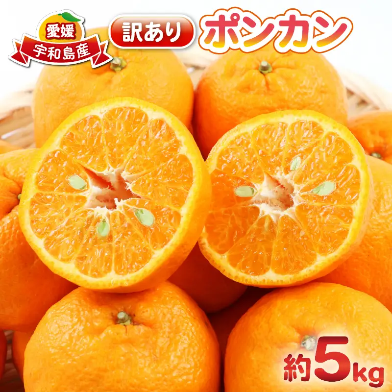 【先行予約】訳あり ポンカン 5kg 杉本屋 【2027年1月中旬～2月下旬 発送】B010-143005