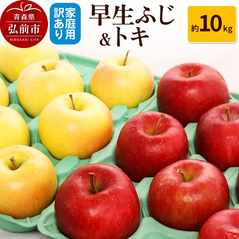【26年10月発送】りんご【訳あり】家庭用 早生ふじ＆トキ 約10kg