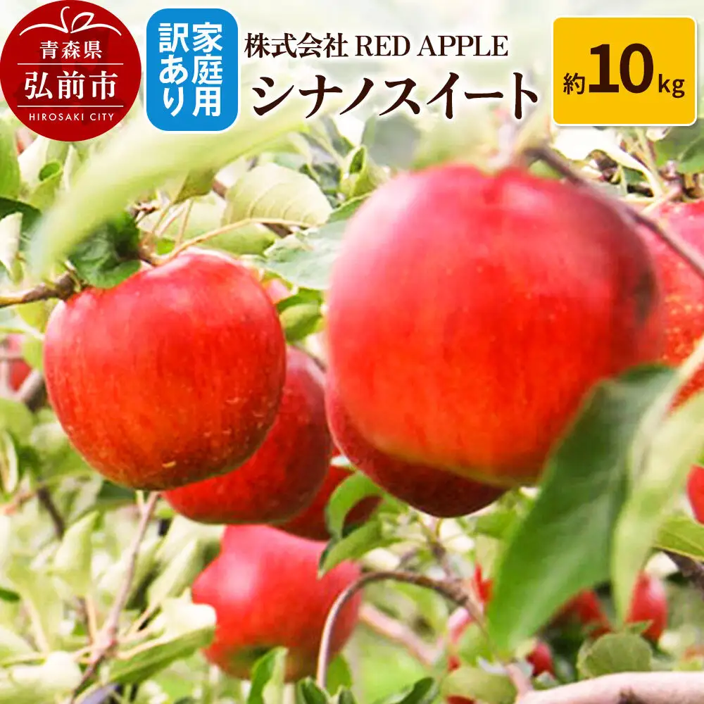 【26年10月下旬～発送】りんご【訳あり】家庭用 シナノスイート 約10kg 