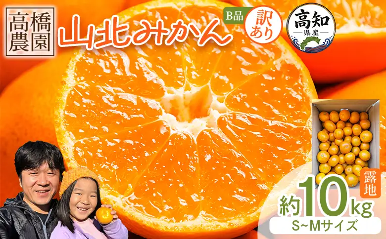 山北みかん 10kg 訳あり みかん th-0032