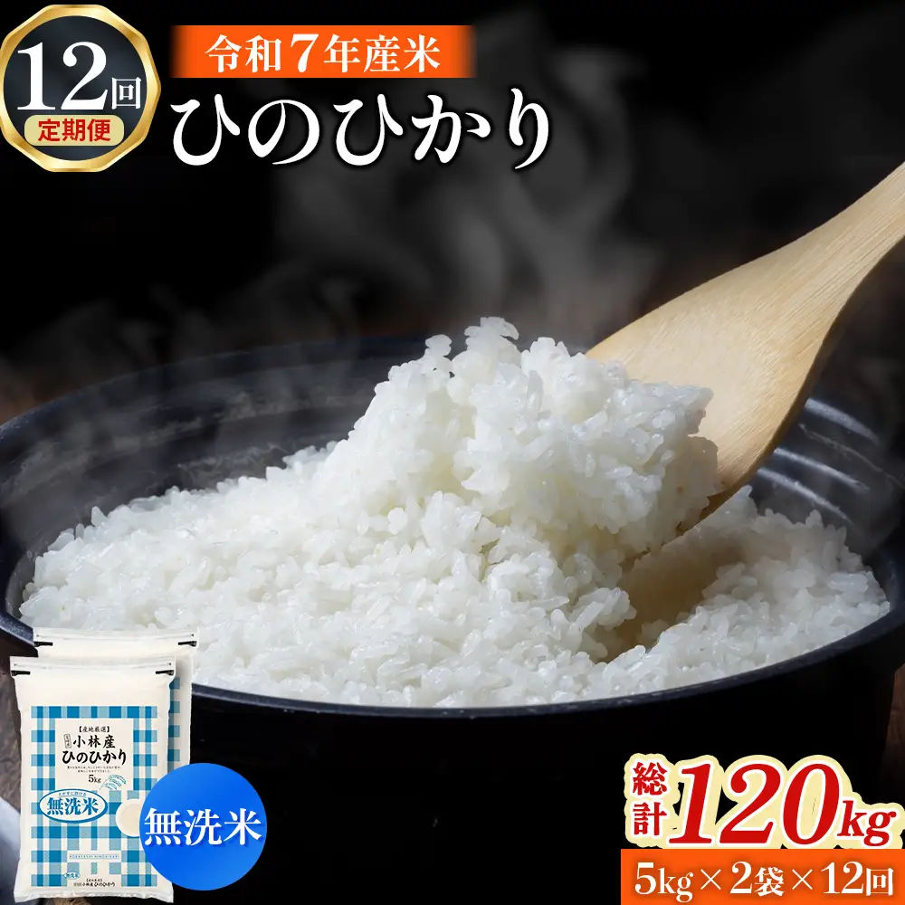 【定期便 全12回】【令和7年産米】無洗米ヒノヒカリ 10kg×12回（お米 米 ひのひかり 無洗米 令和7年産 国産 人気 お弁当 定期便 宮崎県 小林市）