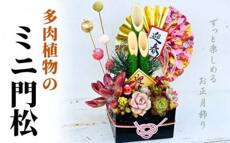 【先行受付】多肉植物のミニ門松 | 豊後高田市 門松