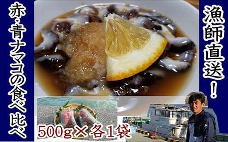 なまこ食べ比べ 修福丸ん赤・青ナマコ！| なまこ