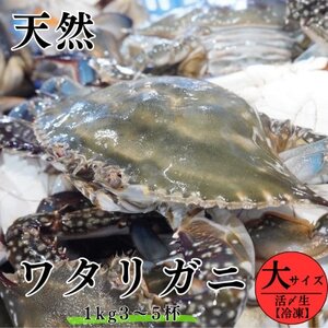 活〆 生 ワタリガニ (大) 1kg 3~5杯 オス 冷凍 特製 三杯酢付き セット 旬 期間限定 海鮮 魚貝 魚介 新鮮 わたりがに ワタリガニ