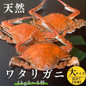 浜ゆで ワタリガニ (大) 1kg 3~5杯 オス 冷凍 特製 三杯酢付き セット 旬 期間限定 海鮮 魚貝 魚介 新鮮 わたりがに ボイル ワタリガニ