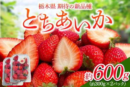 [先行予約] 可愛いハート形 日光産 とちあいか 約300g×2パック 計約600g 【2027年1月中旬から順次発送】 [0967]