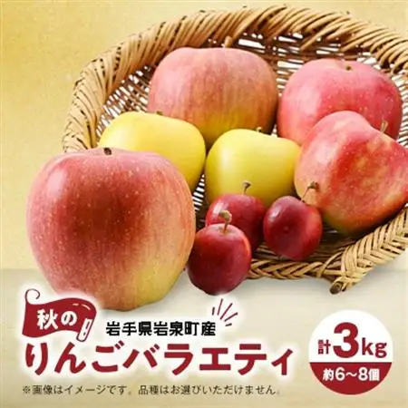 岩手県岩泉町産　秋のりんごバラエティ(約3キロ)_果物・フルーツ りんご  リンゴ 林檎_【1443534】