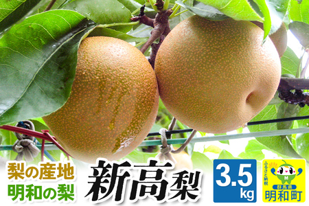 梨（新高 にいたか）3.5kg【9月中旬～10月上旬にお届け】 果物 フルーツ